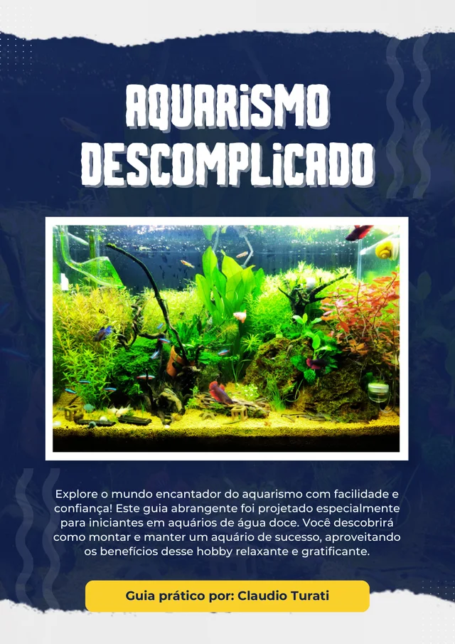 Capa do e-book